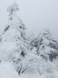 雪山