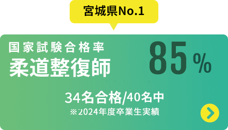 国家試験合格率「柔道整復97.3%」