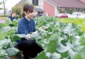 授業の様子