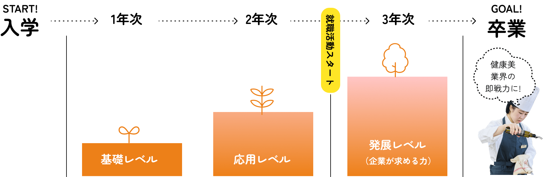 3年間の成長イメージのグラフ