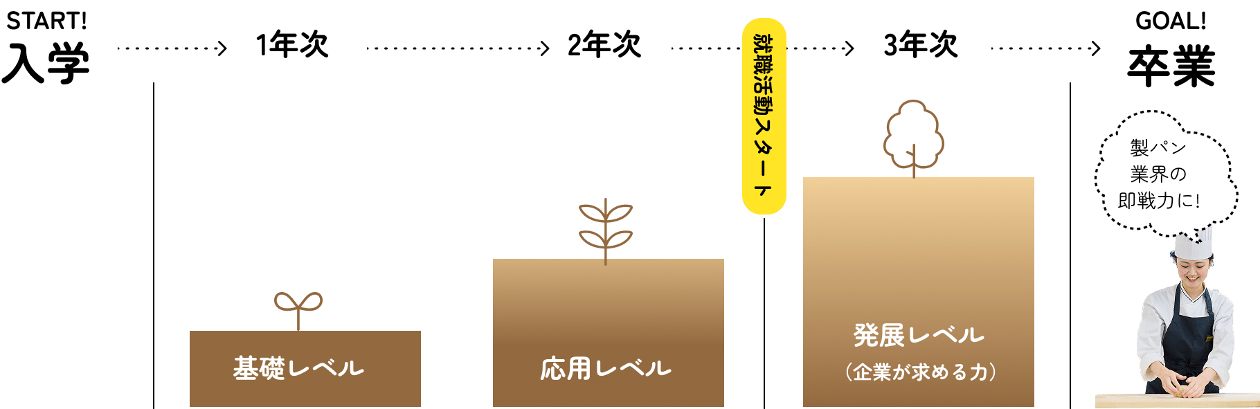 3年間の成長イメージのグラフ