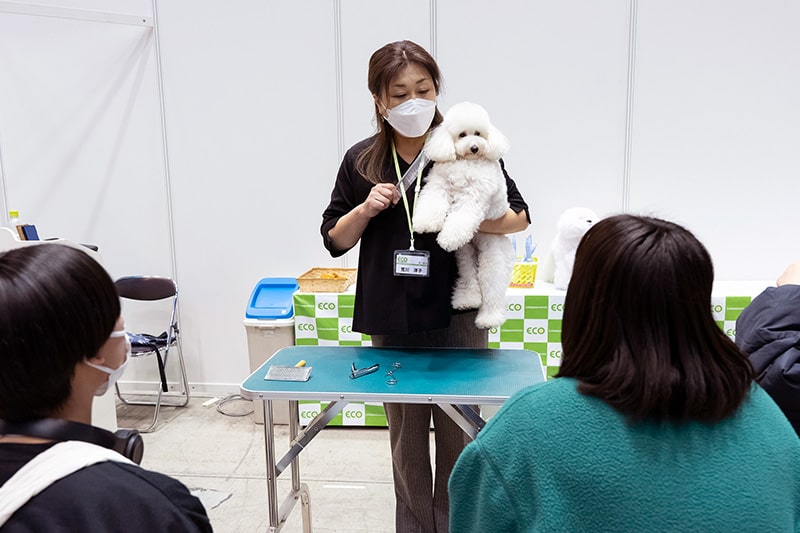 感動職業体験フェスタの様子