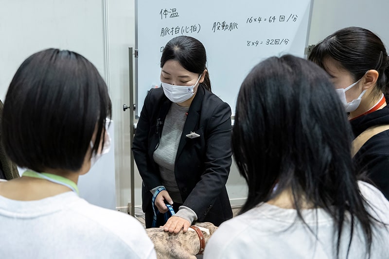 感動職業体験フェスタの様子