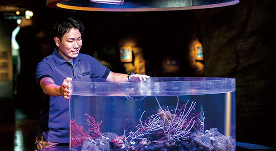 水族館・アクアリスト体験のイメージ画像