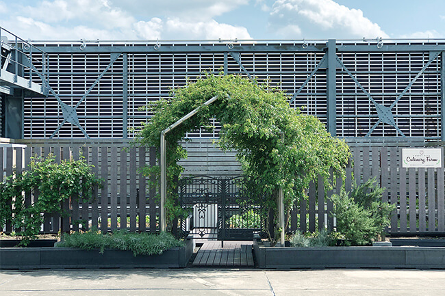 屋上庭園